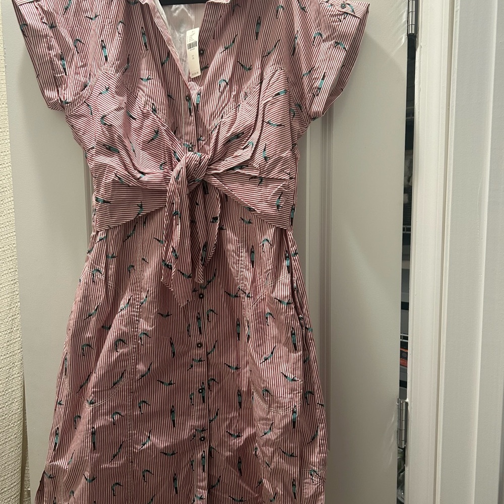 NWT Striped Dress with Swimmer Print